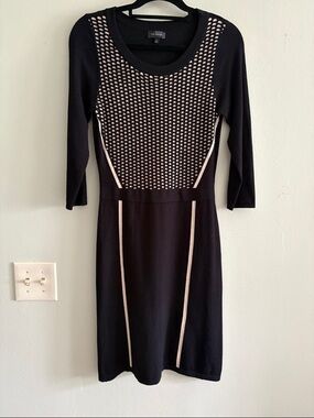 The Limited Black Dress with Cream Contrast Panels